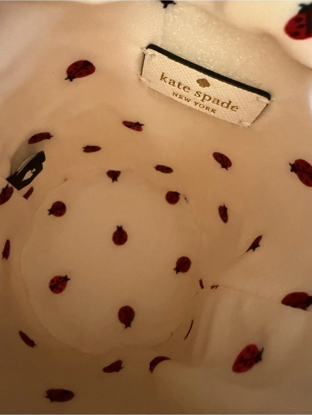 Kate Spade Dottie Ladybug Straw Embroidered Cylinder Crossbody Bag MSRP $349